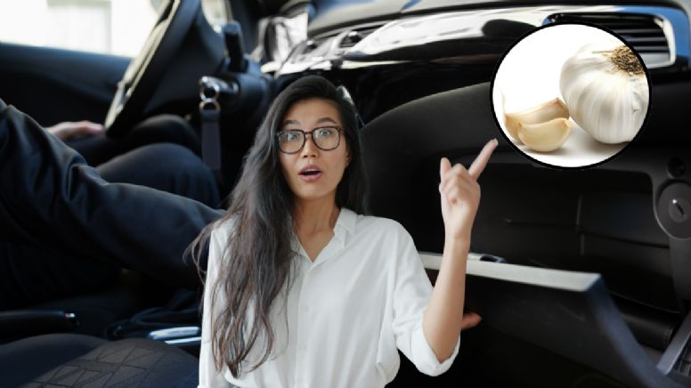 Si colocas un ajo en la guantera del auto estos son sus beneficios: recomendado por el Feng Shui