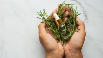 Por qué la película Hamnet ha revivido los poderes medicinales del romero