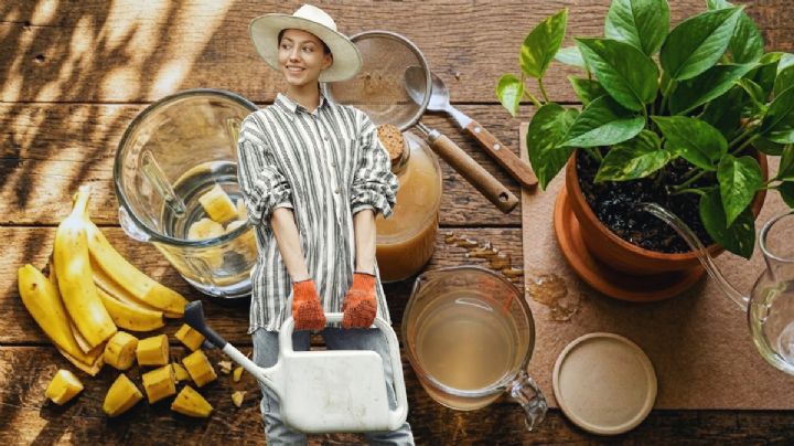 Mezclar plátano con un litro de agua | Para qué sirve y por qué lo recomiendan