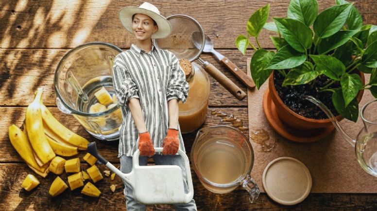 Mezclar plátano con un litro de agua | Para qué sirve y por qué lo recomiendan