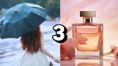 Foto ilustrativa de la nota titulada: 3 perfumes frescos de mujer perfectos para la temporada de lluvia