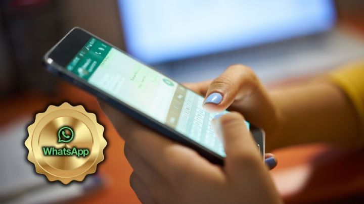 ¿Qué es WhatsApp Plus?: Cómo se podrán usar sus herramientas premium