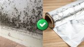 Foto ilustrativa de la nota titulada: Por qué recomiendan poner papel aluminio en las paredes y para qué sirve