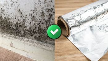 Por qué recomiendan poner papel aluminio en las paredes y para qué sirve