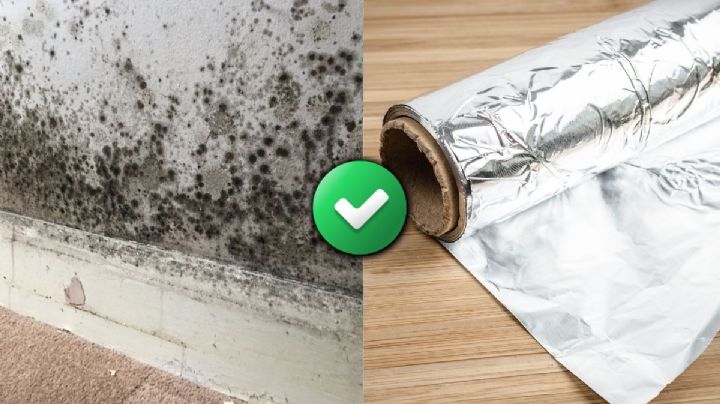 Por qué recomiendan poner papel aluminio en las paredes y para qué sirve