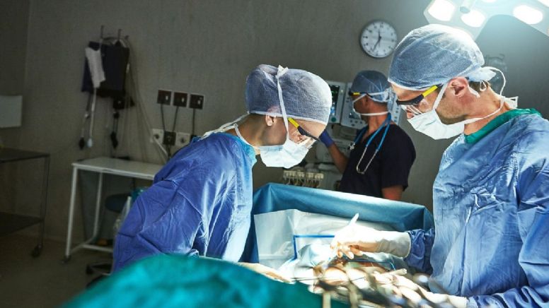 Adiós a estos tratamientos: Gobierno oficializa los servicios que ya no cubrirá en salud