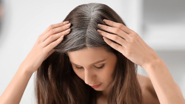 ¿Qué son las French Blending? la hermosa técnica francesa que transformará las canas al instante