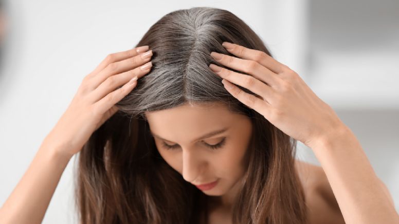 ¿Qué son las French Blending? la hermosa técnica francesa que transformará las canas al instante