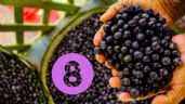 Foto ilustrativa de la nota titulada: Por si necesitas una razón más para comer Açaí, aquí tienes 8