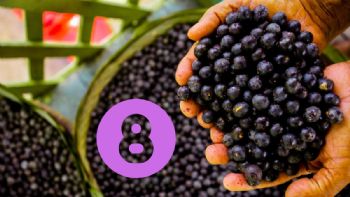 Por si necesitas una razón más para comer Açaí, aquí tienes 8