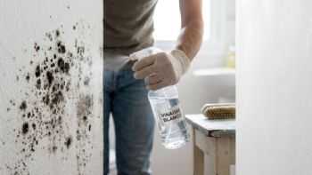Oficial y confirmado: arquitectos revelan cómo eliminan el moho de las paredes con un ingrediente