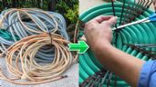 Foto ilustrativa de la nota titulada: Si tienes una manguera de jardín vieja, posees un tesoro: conoce las 2 ideas que pueden cambiar tu casa